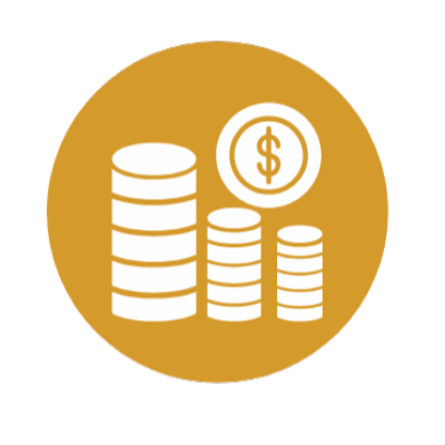 coin icon